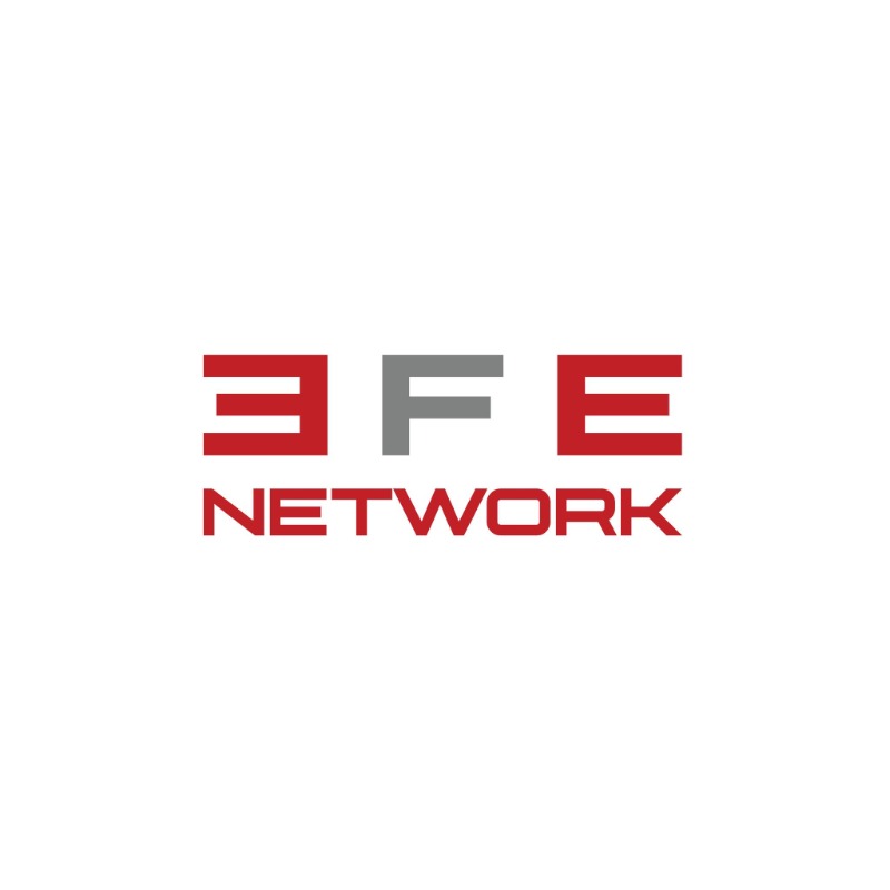 EFE logo