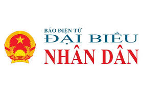 Đại Biểu logo